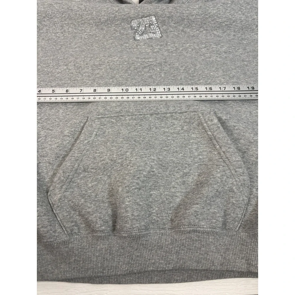 Jordan Mens 23 Diamond Pendant Graphic Hoodie Heather Gray Large WC0063